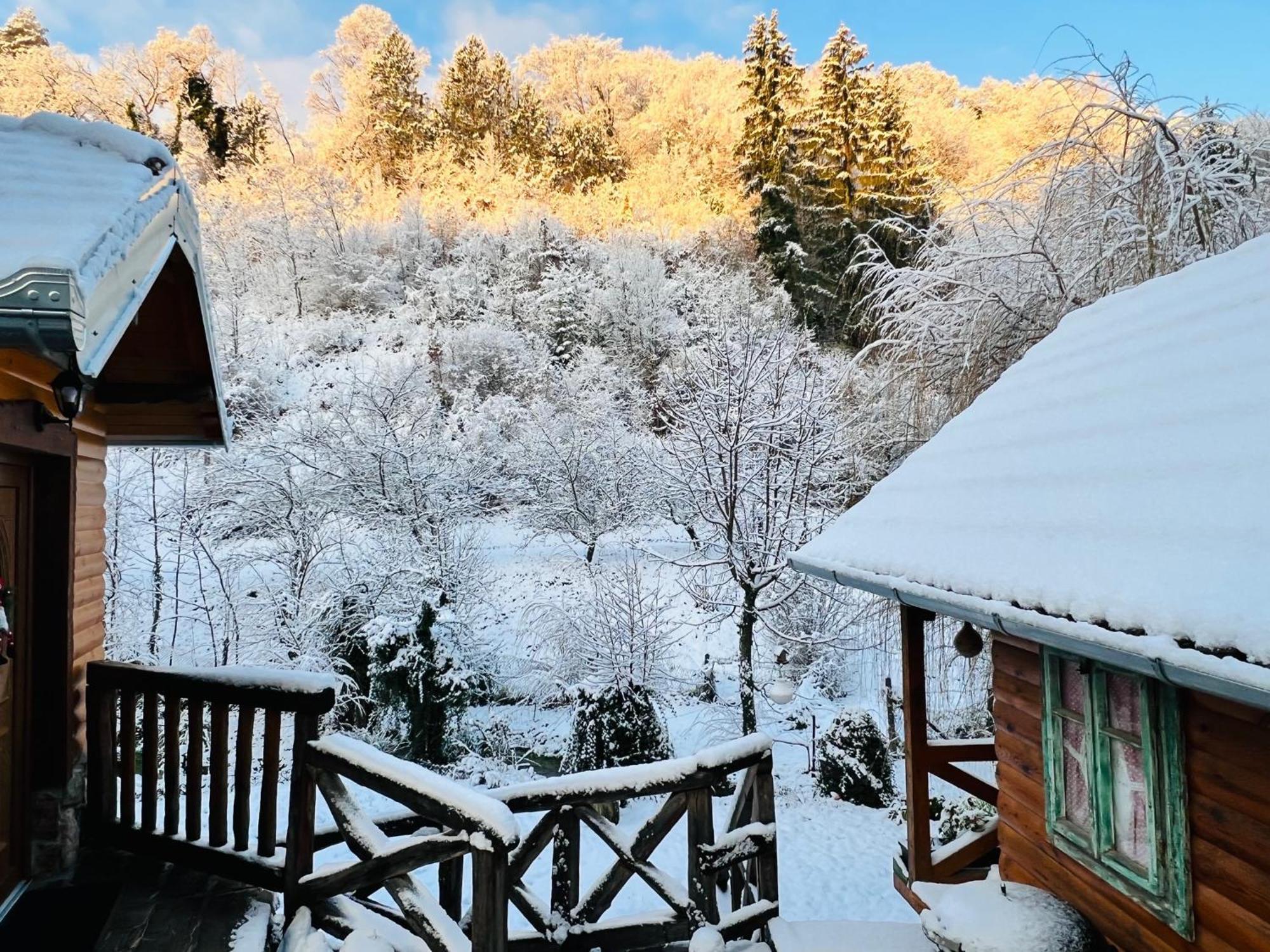 Kuca Za Odmor Carolija Villa Jastrebarsko Bagian luar foto