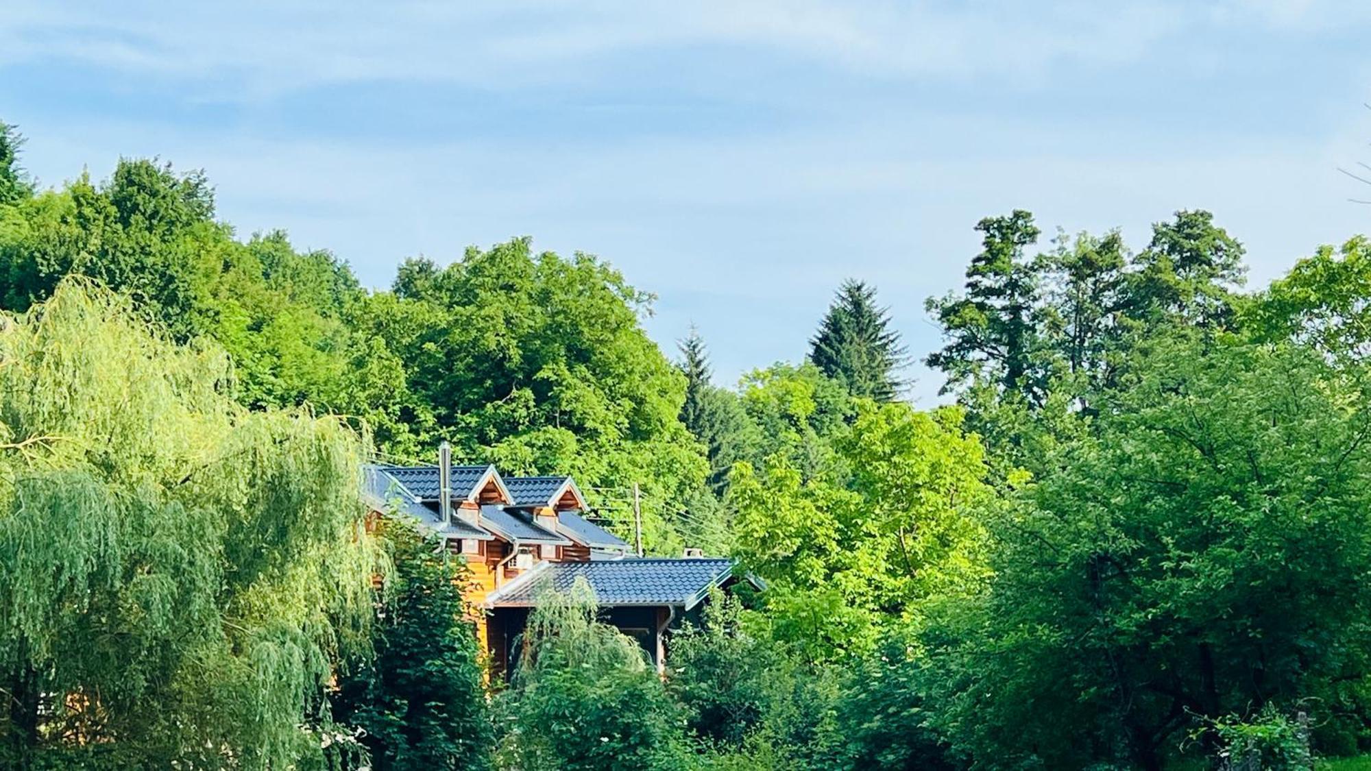 Kuca Za Odmor Carolija Villa Jastrebarsko Bagian luar foto